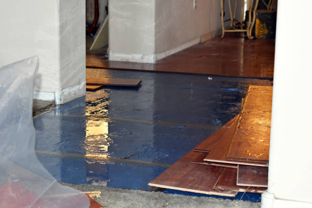 Professional Water Damage Restoration technician working in Gorman, NC